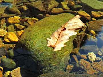 澳門(mén)彩最準(zhǔn)最快開(kāi)獎(jiǎng)記錄——揭秘彩票背后的秘密，澳門(mén)彩最準(zhǔn)最快開(kāi)獎(jiǎng)記錄揭秘，彩票背后的真相與秘密