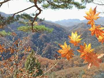 新澳門(mén)期期準(zhǔn)，探索與預(yù)測(cè)的未來(lái)走向，新澳門(mén)期期準(zhǔn)，探索未來(lái)走向與預(yù)測(cè)發(fā)展趨勢(shì)