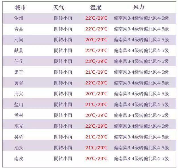 滄州公租房最新消息全面解讀，滄州公租房最新動態(tài)全面解析