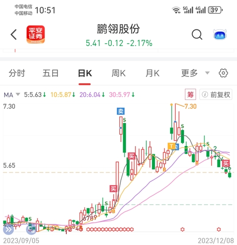 鵬翎股份最新消息全面解讀，鵬翎股份最新消息全面解讀與分析