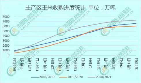 全國(guó)玉米價(jià)格最新行情分析，全國(guó)玉米價(jià)格最新行情解析