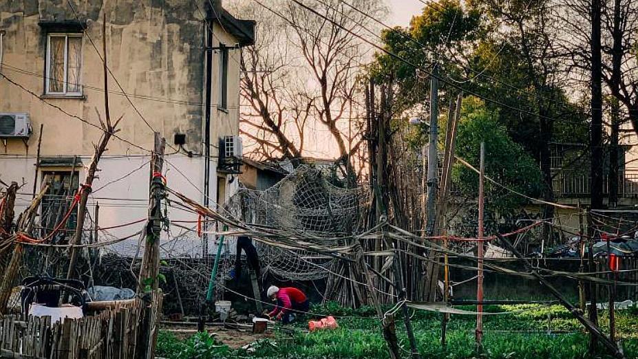 上海最新拆遷動(dòng)態(tài)，變化中的城市面貌與居民生活，上海拆遷最新動(dòng)態(tài)，城市面貌與居民生活的變遷