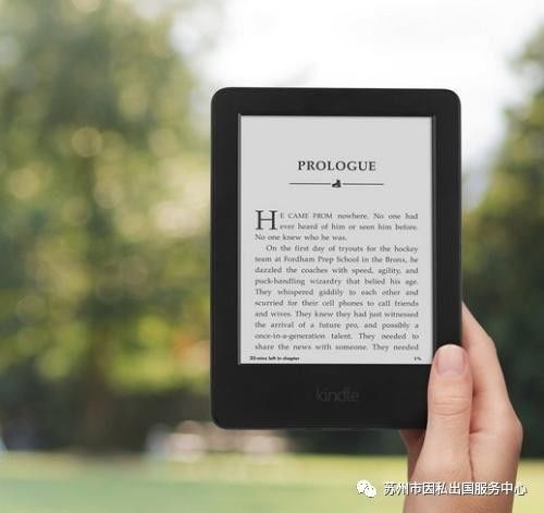 新澳資料免費最新正版,機構預測解釋落實方法_Kindle48.545