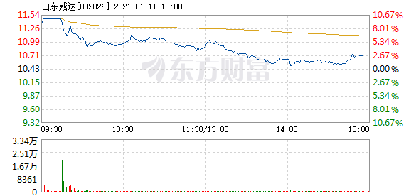 山東威達(dá)股票最新消息深度解析，山東威達(dá)股票最新消息全面解析