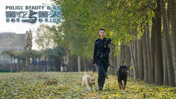 警花與警犬2最新消息，熱血回歸，人與犬的正義新篇章，警花與警犬2熱血回歸，人與犬的正義新篇章最新消息