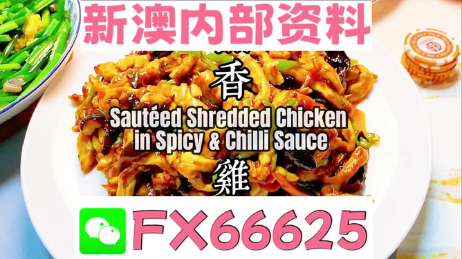 新奧天天精準資料大全，探索與解析，新奧天天精準資料大全，深度探索與全面解析