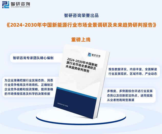 揭秘2024新奧正版資料免費獲取途徑，揭秘，免費獲取2024新奧正版資料的途徑