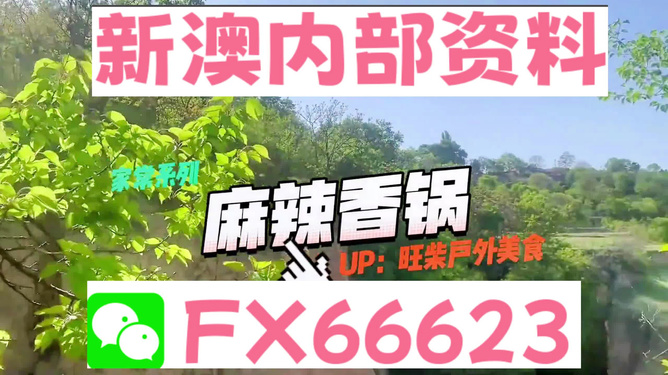 新澳準(zhǔn)資料免費(fèi)提供背后的犯罪問(wèn)題探討，新澳準(zhǔn)資料免費(fèi)提供背后的犯罪問(wèn)題深度探討