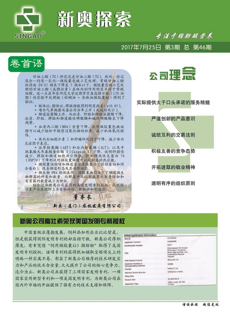 揭秘2024新奧精準資料免費大全第078期，深度解析與前瞻性探討，揭秘2024新奧精準資料免費大全第078期，深度解析與前瞻性探討報告全覽