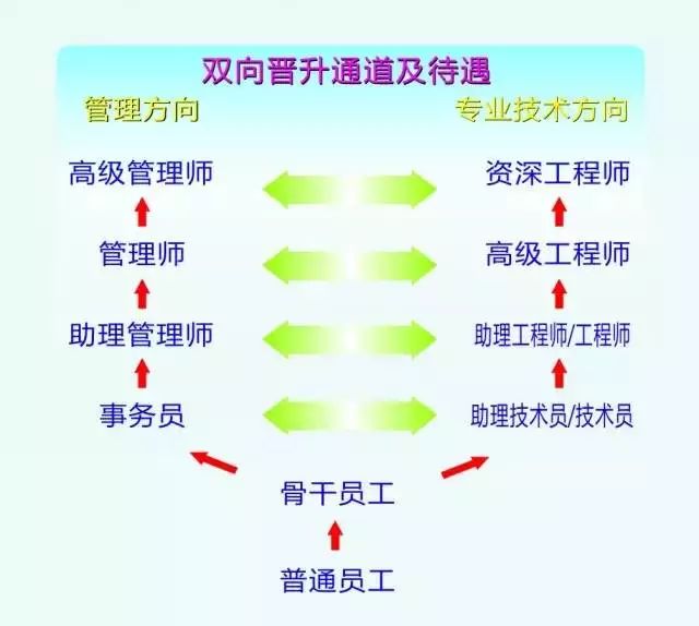 立訊精密最新招聘信息概覽，立訊精密最新招聘信息全面解析