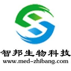 武漢維新智云科技有限公司，引領(lǐng)科技前沿，塑造數(shù)字未來，武漢維新智云科技，引領(lǐng)數(shù)字未來，科技前沿領(lǐng)航者