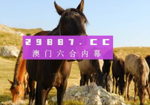 澳門管家婆與肖一碼，獨特的視角與精準(zhǔn)的預(yù)測，澳門管家婆與肖一碼，獨特視角與精準(zhǔn)預(yù)測揭秘