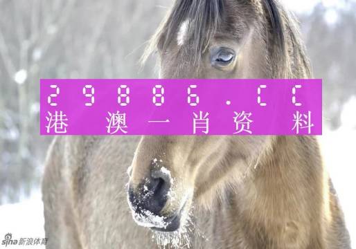 澳門精準(zhǔn)一肖一碼100%，揭示背后的違法犯罪問題，澳門精準(zhǔn)一肖一碼背后的違法犯罪問題揭秘