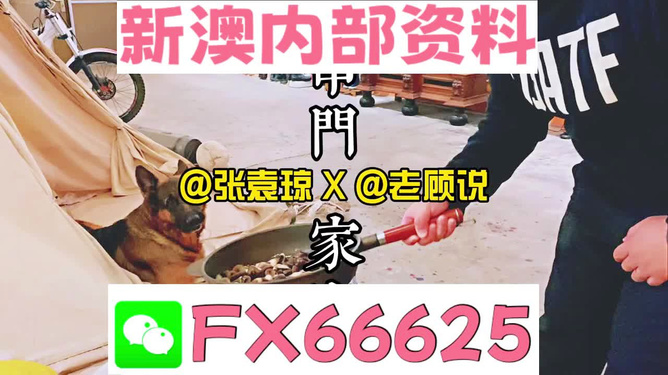 管家婆免費(fèi)資料大全公開，探索與解析，管家婆免費(fèi)資料大全揭秘，探索與解析