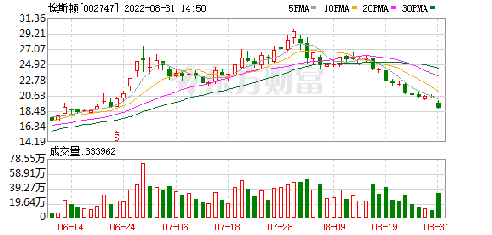 埃斯頓股票，投資潛力與市場(chǎng)前景分析，埃斯頓股票，投資潛力與市場(chǎng)前景深度解析