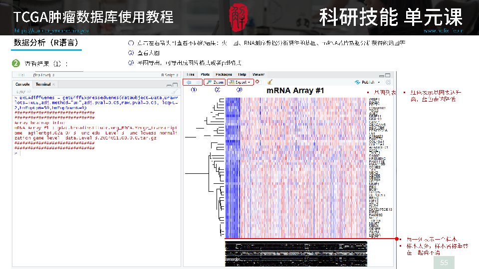 澳門玄機(jī)子14918,數(shù)據(jù)驅(qū)動執(zhí)行方案_GM版97.797