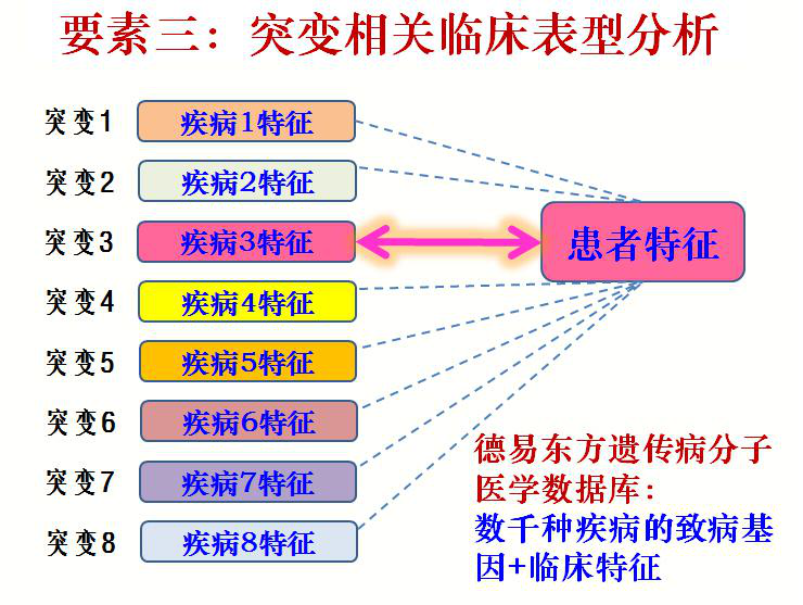 臺塑石化倒閉原因分析，臺塑石化倒閉原因深度解析