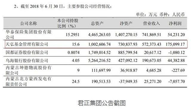 君正集團(tuán)未來(lái)估值，展望與預(yù)測(cè)