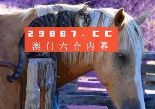 澳門必中一肖一碼四不像——揭開犯罪現(xiàn)象的神秘面紗，澳門犯罪現(xiàn)象揭秘，揭秘必中一肖一碼四不像的神秘面紗