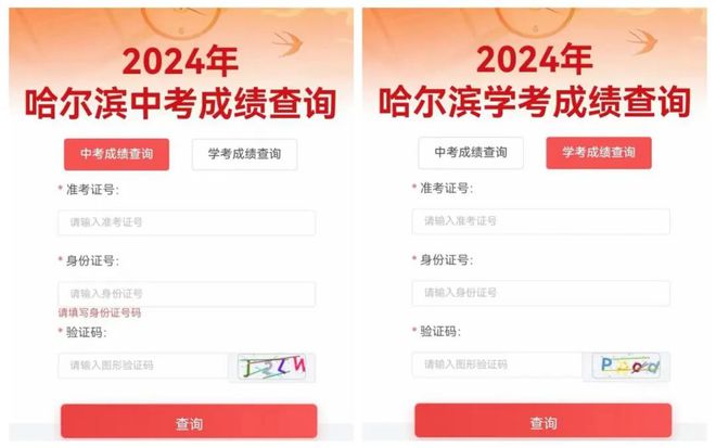 2024新澳最新開獎結(jié)果查詢——掌握彩票動態(tài)的必備指南，掌握彩票動態(tài)必備指南，2024新澳最新開獎結(jié)果查詢