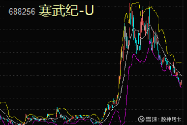 寒武紀(jì)重組最新消息，引領(lǐng)科技變革的新篇章，寒武紀(jì)重組引領(lǐng)科技變革新篇章，最新消息揭秘