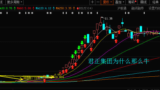 君正云通，一只10倍牛股的成長之路，君正云通，牛股成長之路揭秘，邁向十倍增長之路