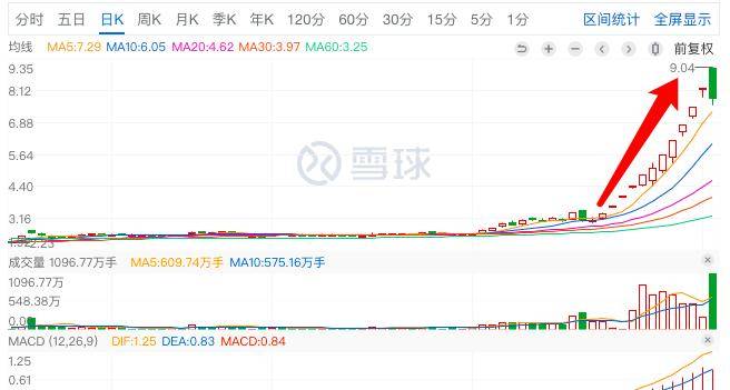 君正集團，是妖股還是價值投資之選？，君正集團，價值投資還是妖股之爭？