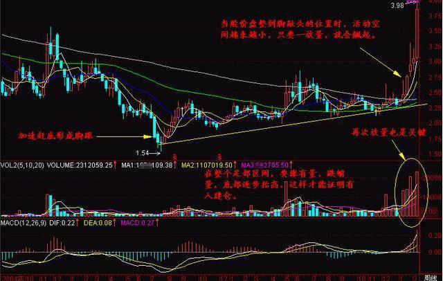 探尋未來之星，2025年有望翻十倍的潛力股票，探尋未來之星，潛力股票展望2025年十倍增長之路