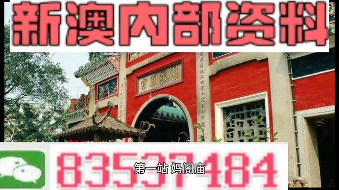 新澳內(nèi)部資料精準(zhǔn)一碼，揭開(kāi)犯罪的面紗，新澳內(nèi)部資料精準(zhǔn)一碼揭秘犯罪真相