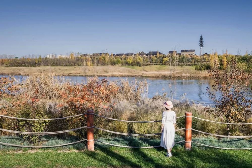 西安最新濕地公園，生態(tài)與文化的完美融合，西安最新濕地公園，生態(tài)與文化的和諧共融