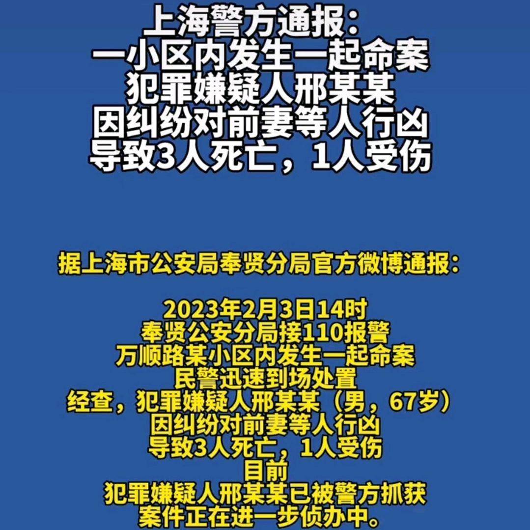 上海某小區(qū)發(fā)生刑案致一死，悲劇背后的警示與反思，上海小區(qū)刑案致一死，悲劇背后的警示與反思