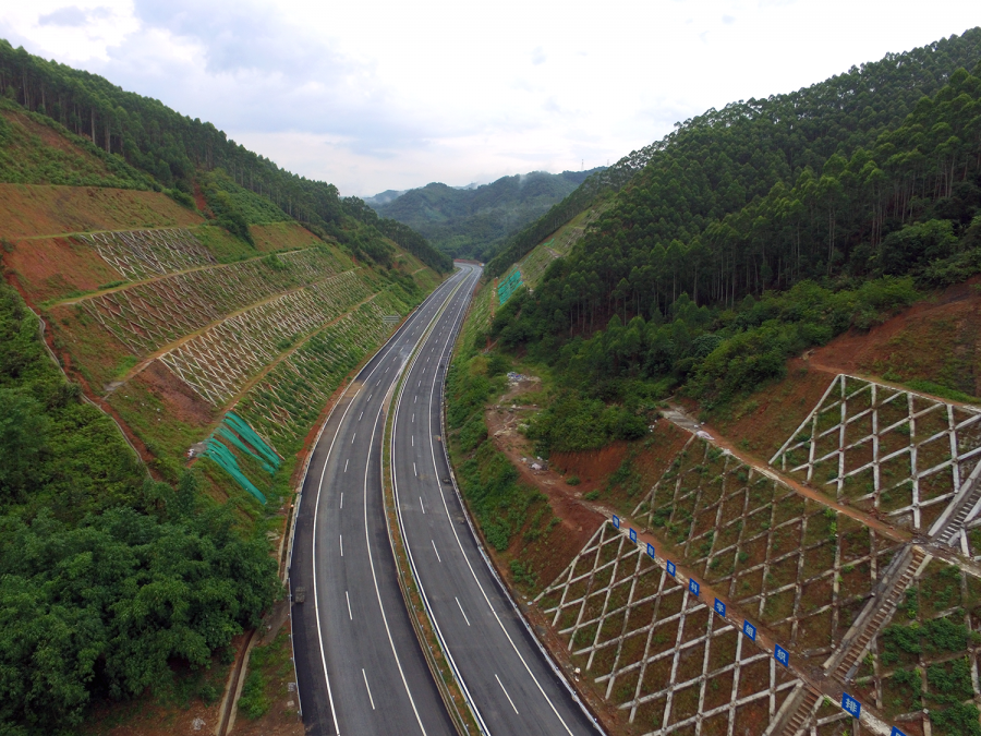 梧州最新道路，城市發(fā)展的脈絡(luò)與未來展望，梧州最新道路，城市發(fā)展的脈絡(luò)與未來展望展望