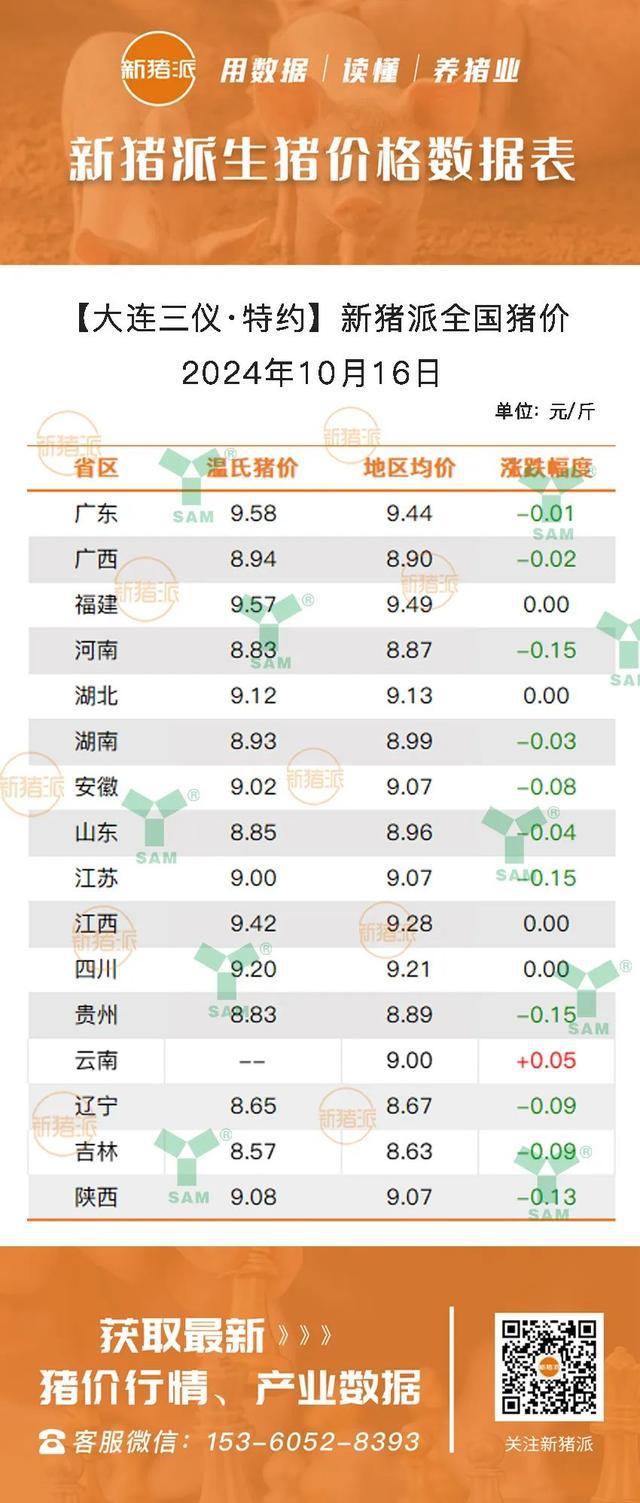 最新仔豬市場行情分析，最新仔豬市場行情深度解析