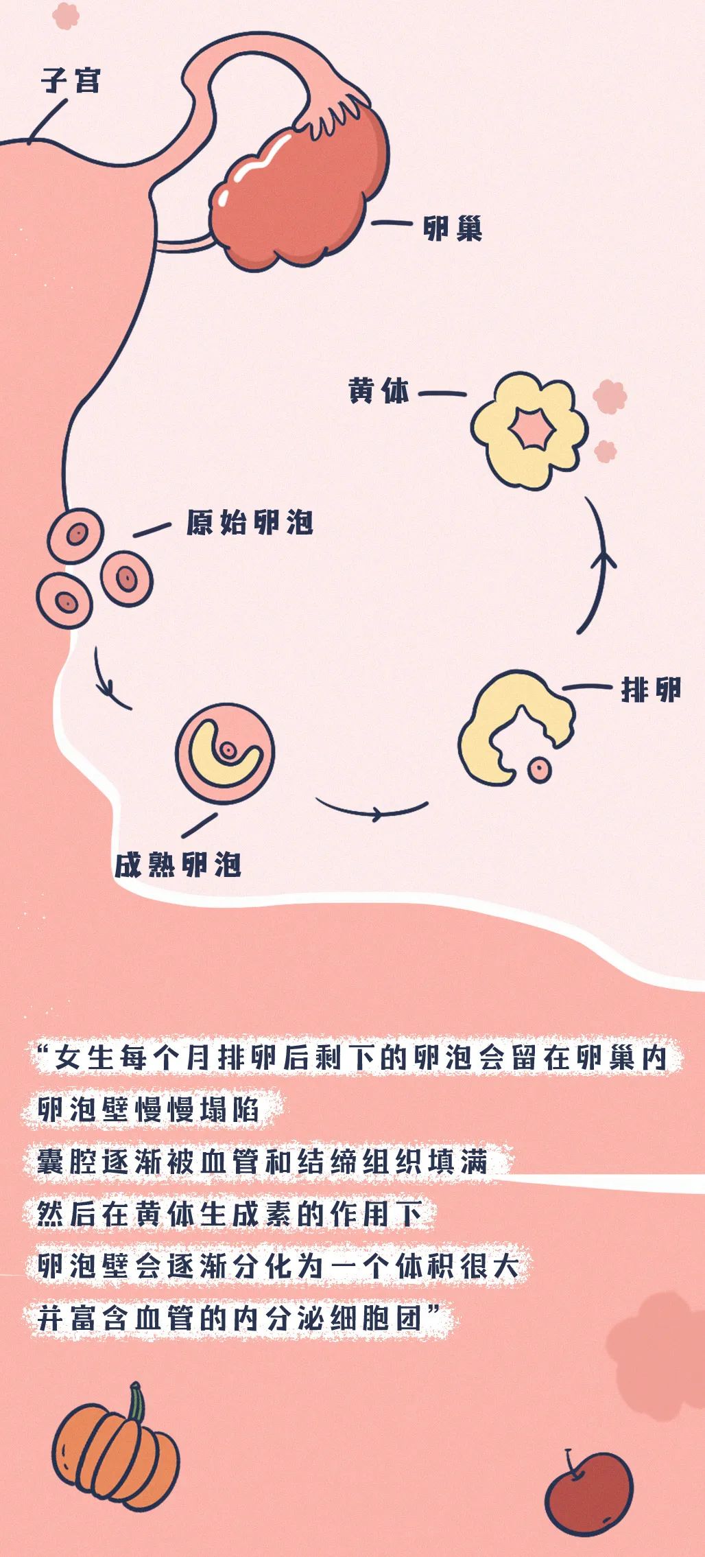 黃體破裂的早期癥狀及其影響，黃體破裂的早期癥狀與影響解析