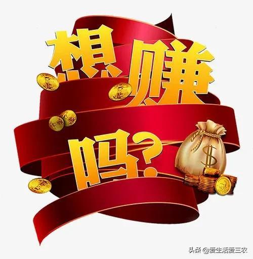 一天賺500，如何實現(xiàn)你的收入目標，一天賺500，實現(xiàn)你的收入目標指南