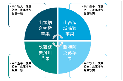 陜西蘋果產(chǎn)業(yè)全產(chǎn)業(yè)鏈深度解析，陜西蘋果產(chǎn)業(yè)全產(chǎn)業(yè)鏈深度探究