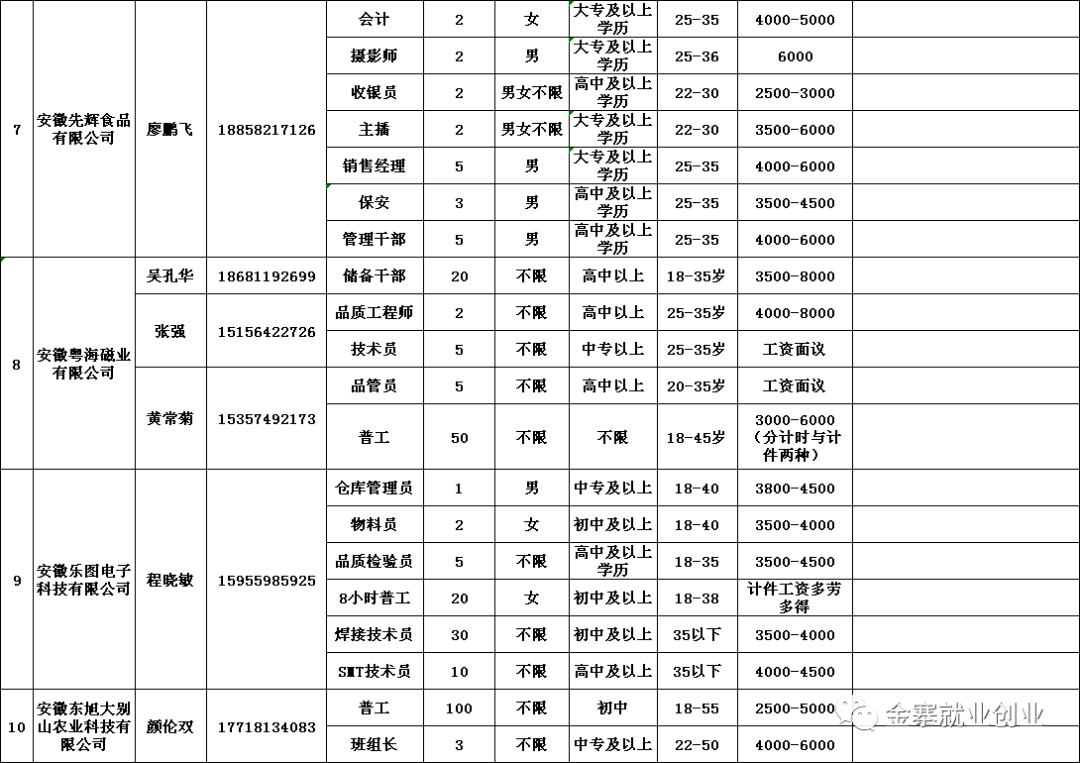 金寨在線(xiàn)最新招聘信息概覽，金寨在線(xiàn)最新招聘信息全面解析