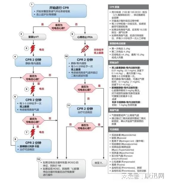 最新CPR（心肺復蘇術(shù)）流程詳解，最新CPR（心肺復蘇術(shù)）流程全面解析