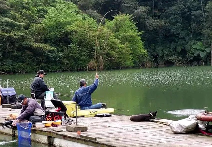 釣魚圈的奇事趣聞，釣魚圈里的奇聞趣事