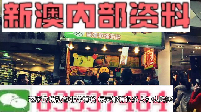 新奧天天精準資料大全，深度解析與實際應用，新奧天天精準資料大全，深度解析及實際應用指南