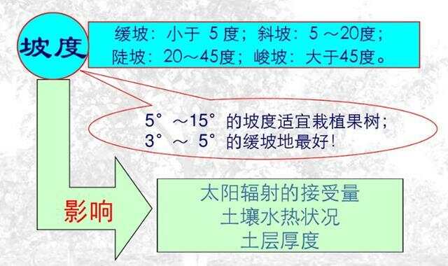 坡度超過25度耕地減少的原因分析，坡度超過25度耕地減少的原因探究