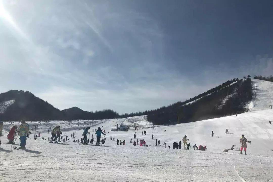 滑雪最好的地方，探索雪域奇境的魅力，探索雪域奇境，滑雪的最佳勝地