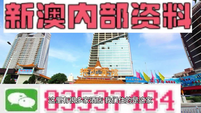 新澳門最精準(zhǔn)——探尋真相背后的警示，澳門真相探尋，警示背后的精準(zhǔn)揭秘