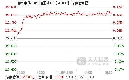 鵬揚(yáng)中債-30年期國債ETF，深度解析及其投資策略，鵬揚(yáng)中債-30年期國債ETF深度解析與投資策略探討