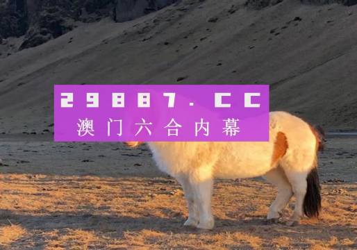 澳門碼今晚開什么特馬，警惕賭博背后的風(fēng)險(xiǎn)與犯罪問題，警惕澳門賭博背后的風(fēng)險(xiǎn)與犯罪問題，特馬背后的真相