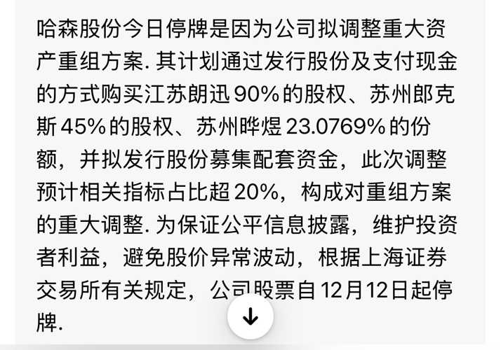 哈森股份怎么了，深度探究與前景展望，哈森股份深度探究，現(xiàn)狀分析與未來前景展望