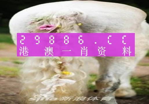 澳門內(nèi)部資料精準(zhǔn)大全2023，揭示背后的風(fēng)險(xiǎn)與挑戰(zhàn)，澳門內(nèi)部資料精準(zhǔn)大全揭秘，風(fēng)險(xiǎn)與挑戰(zhàn)并存于2023年