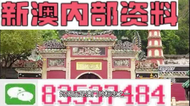 澳門三肖三碼精準(zhǔn)100%黃大仙——揭示背后的違法犯罪問題，澳門三肖三碼精準(zhǔn)預(yù)測背后的違法犯罪問題揭秘