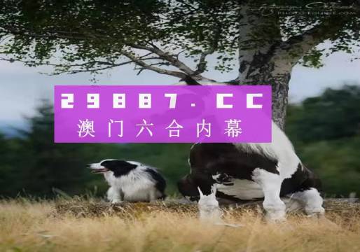 澳門今晚開特馬四不像圖——探索澳門彩票的奧秘，澳門彩票奧秘探索，特馬四不像圖今晚揭曉