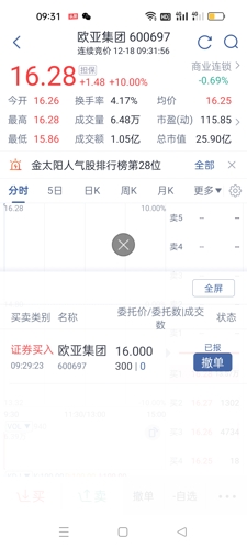 歐亞股票600697，投資潛力與市場(chǎng)前景分析，歐亞股票600697投資潛力與市場(chǎng)前景深度解析